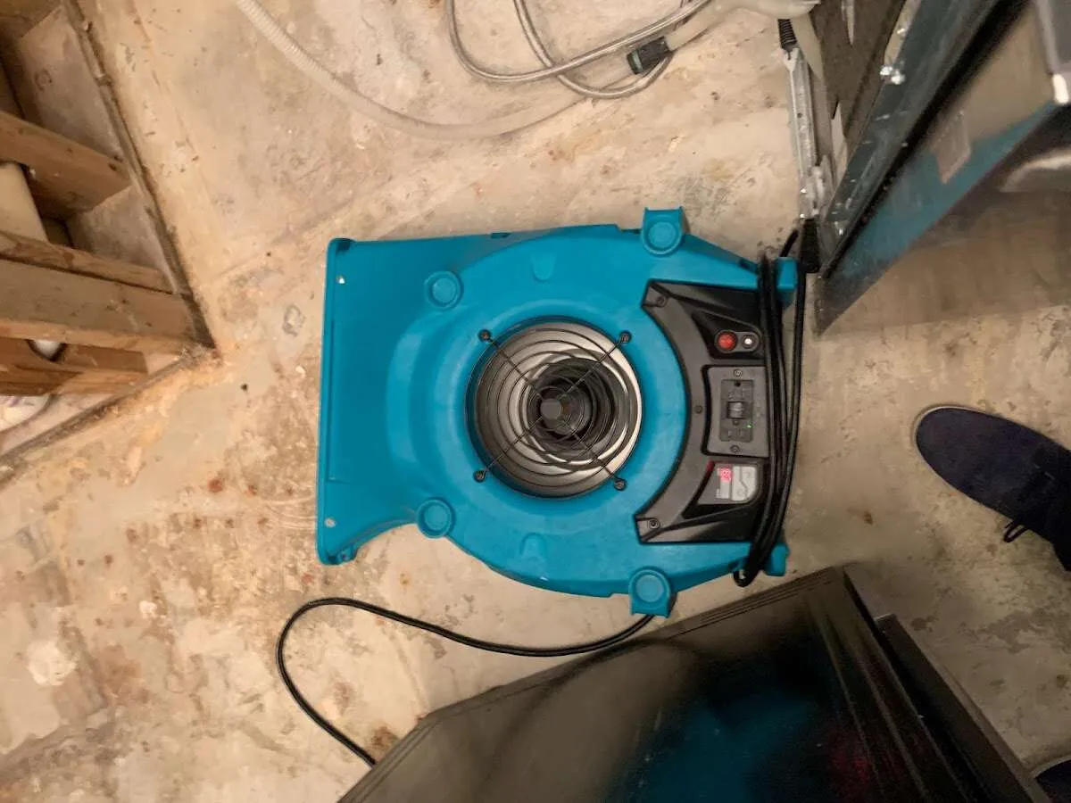 Air mover drying equipment for Mold Remediation & Removal in Snellville